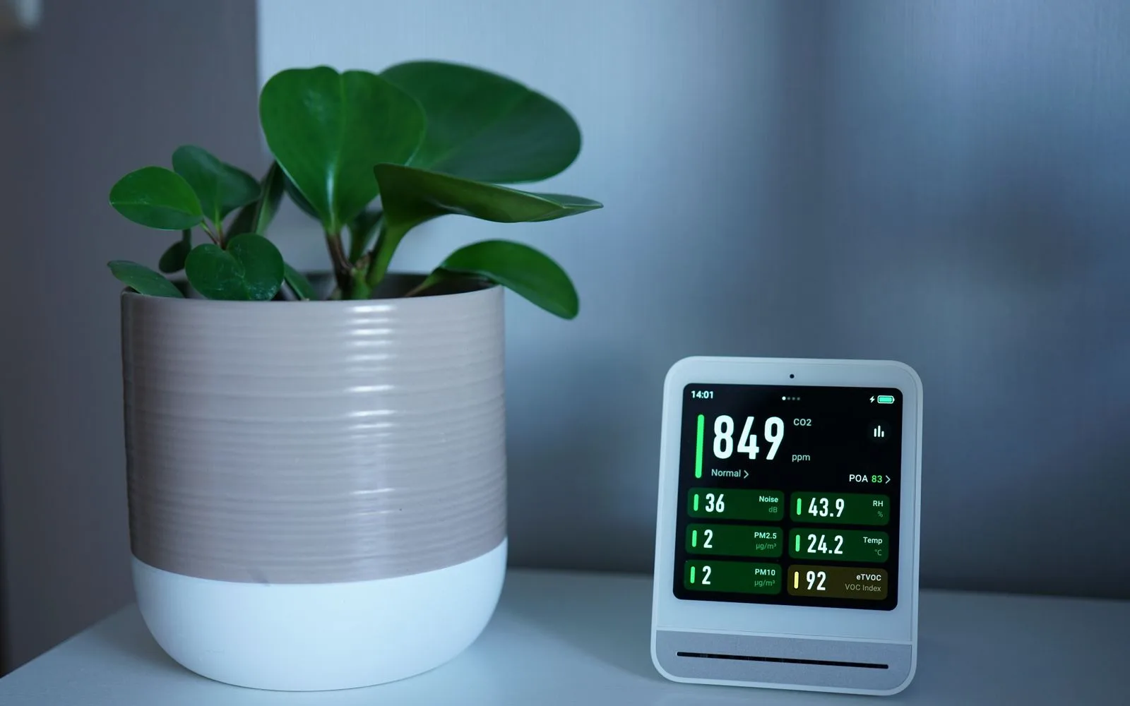 Modern indoor air-quality monitor beside a houseplant